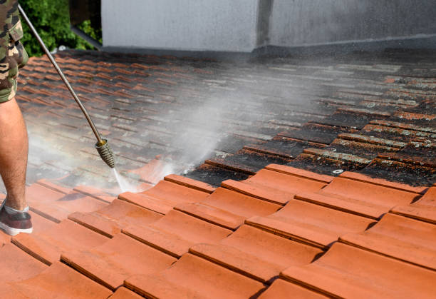 Best Commercial Pressure Washing  in Imlay City, MI