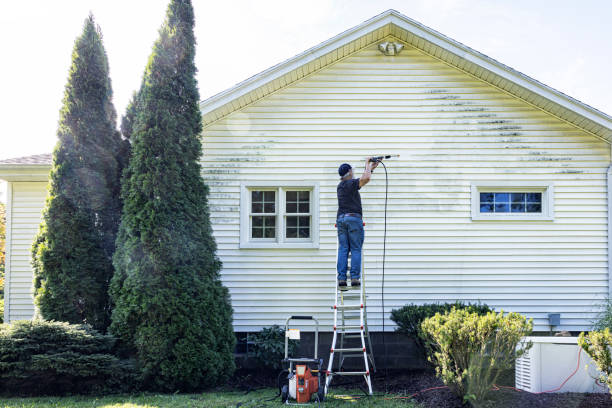 Best Garage Pressure Washing  in Imlay City, MI