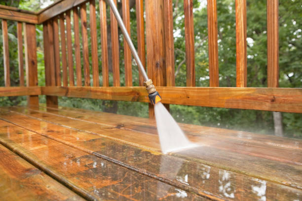 Best Local Pressure Washing Services  in Imlay City, MI