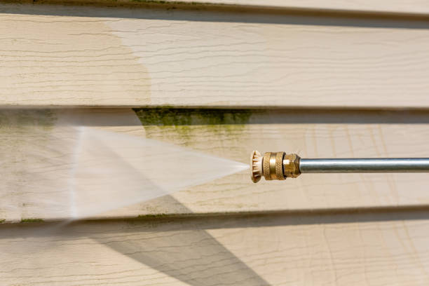 Best Affordable Pressure Washing  in Imlay City, MI