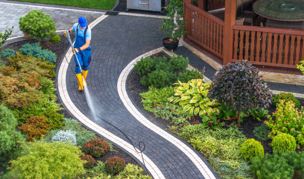 Best Affordable Pressure Washing  in Imlay City, MI
