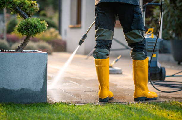 Best Concrete Pressure Washing  in Imlay City, MI